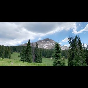 Meet your Posher, Morgan